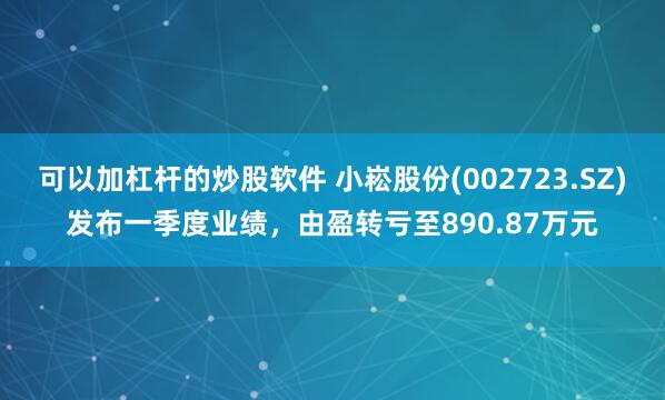 可以加杠杆的炒股软件 小崧股份(002723.SZ)发布一季度业绩，由盈转亏至890.87万元
