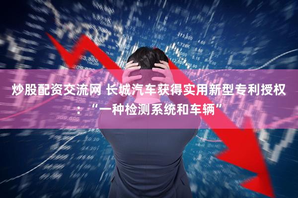 炒股配资交流网 长城汽车获得实用新型专利授权：“一种检测系统和车辆”